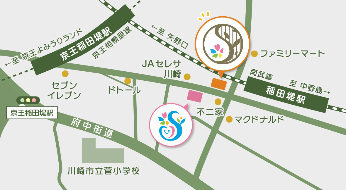 デンタルケアのイラストマップ